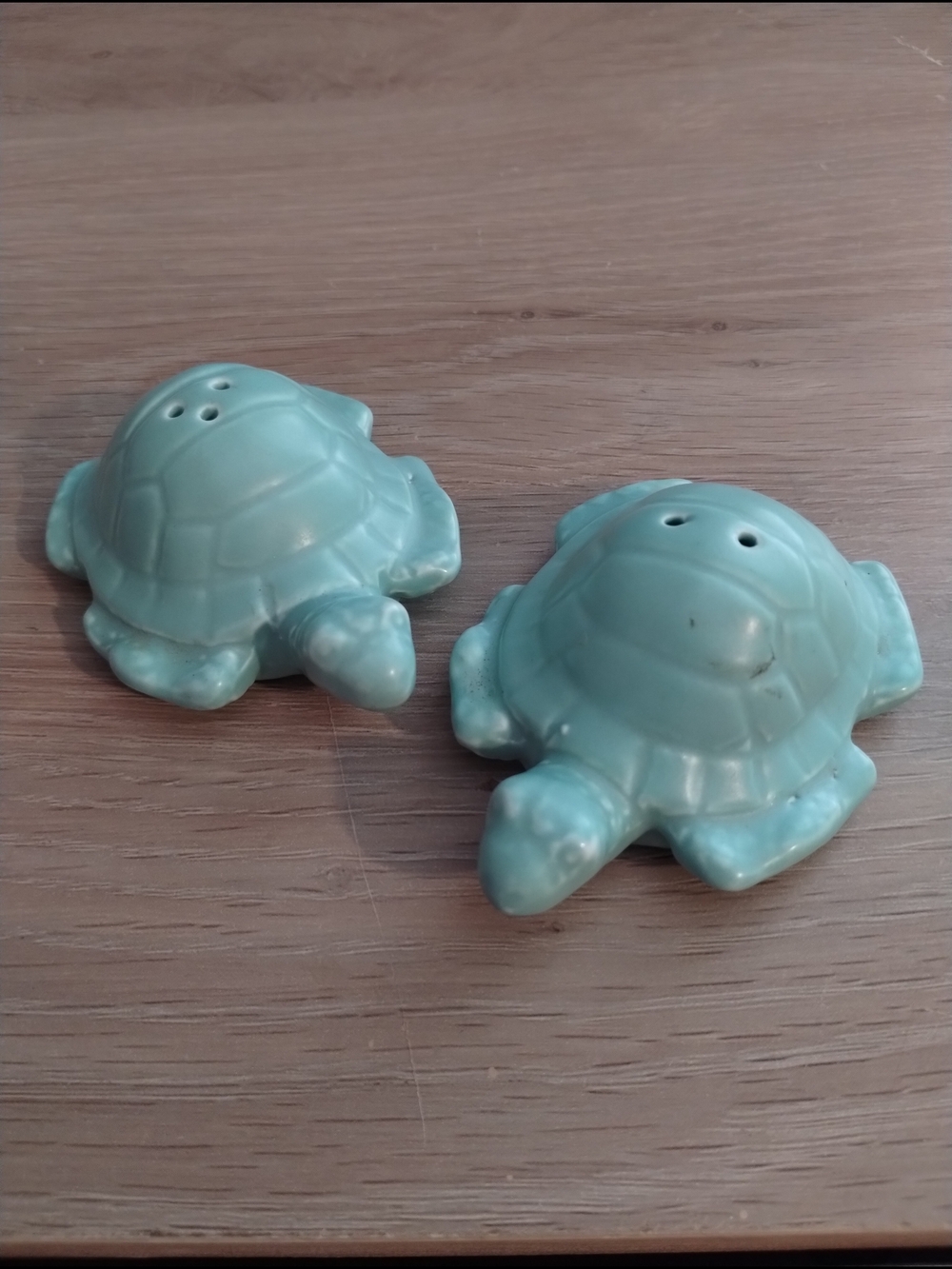 Ceramic Turtle Salt and Pepper Shaker Set - Aqua